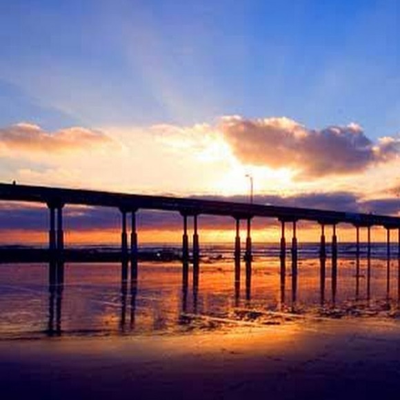 Meet your Posher, Alana - Picture 1 of 1